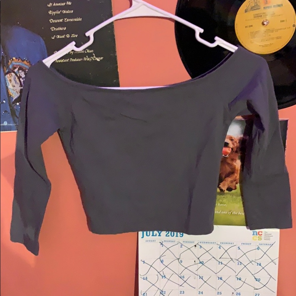 Gray Hollister Crop Top